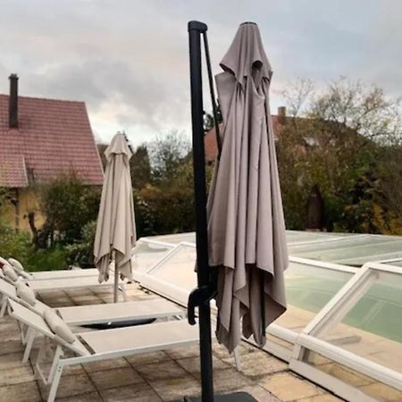 Soh Rent Villa Piscine Proche Strasbourg Tv - Wifi - Parking Lampertheim エクステリア 写真